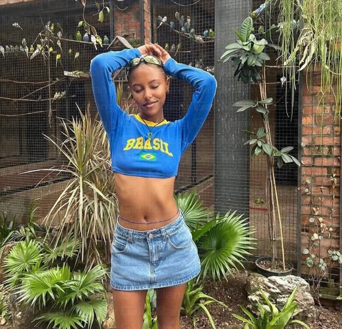 Brazil crop top