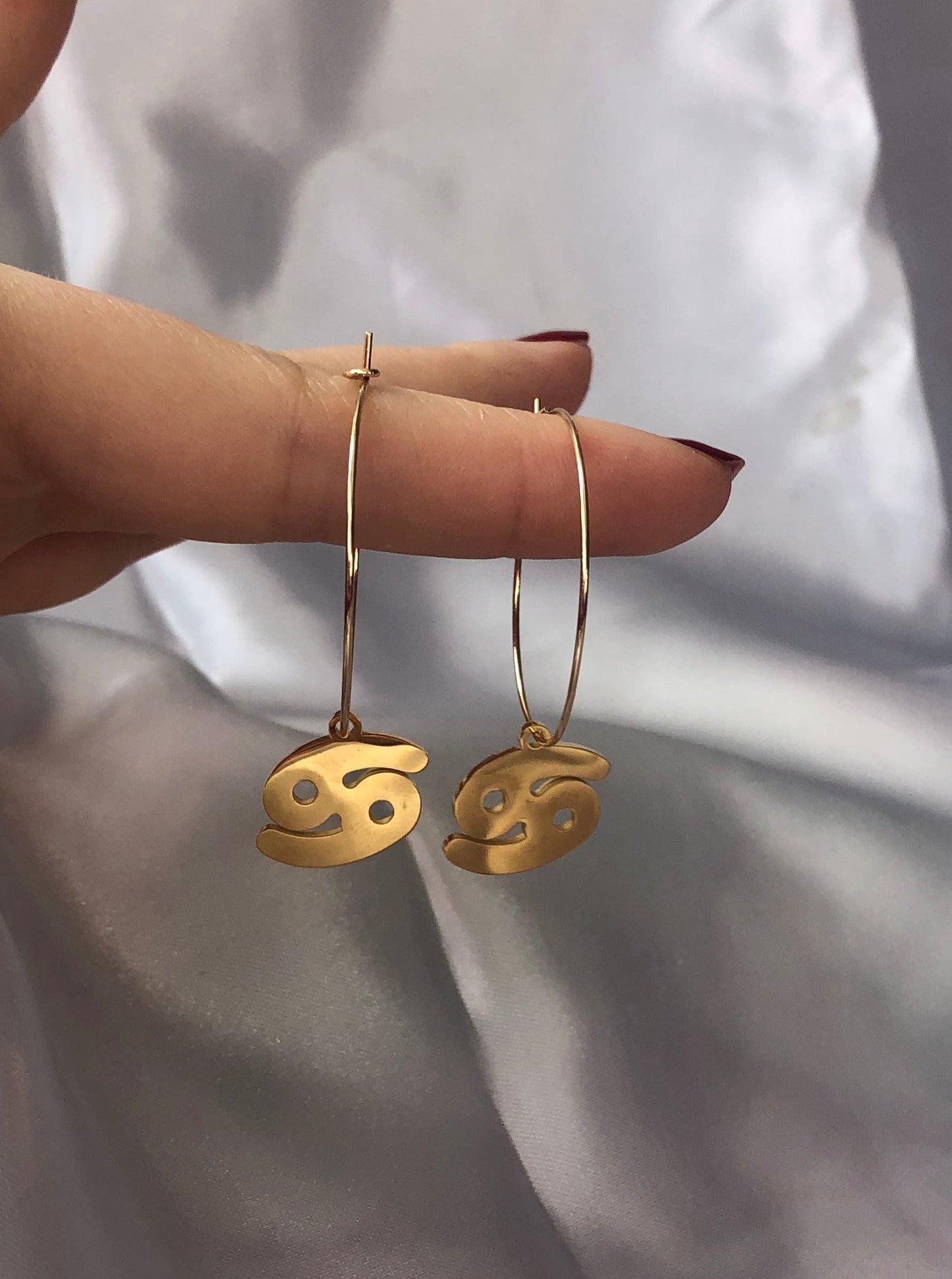Zodiac sign pendant hoops