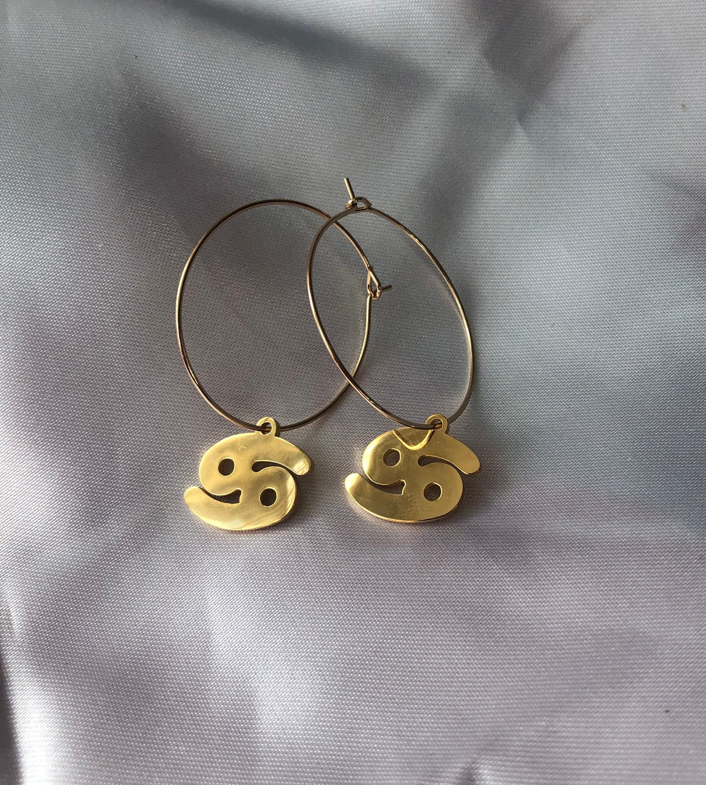Zodiac sign pendant hoops
