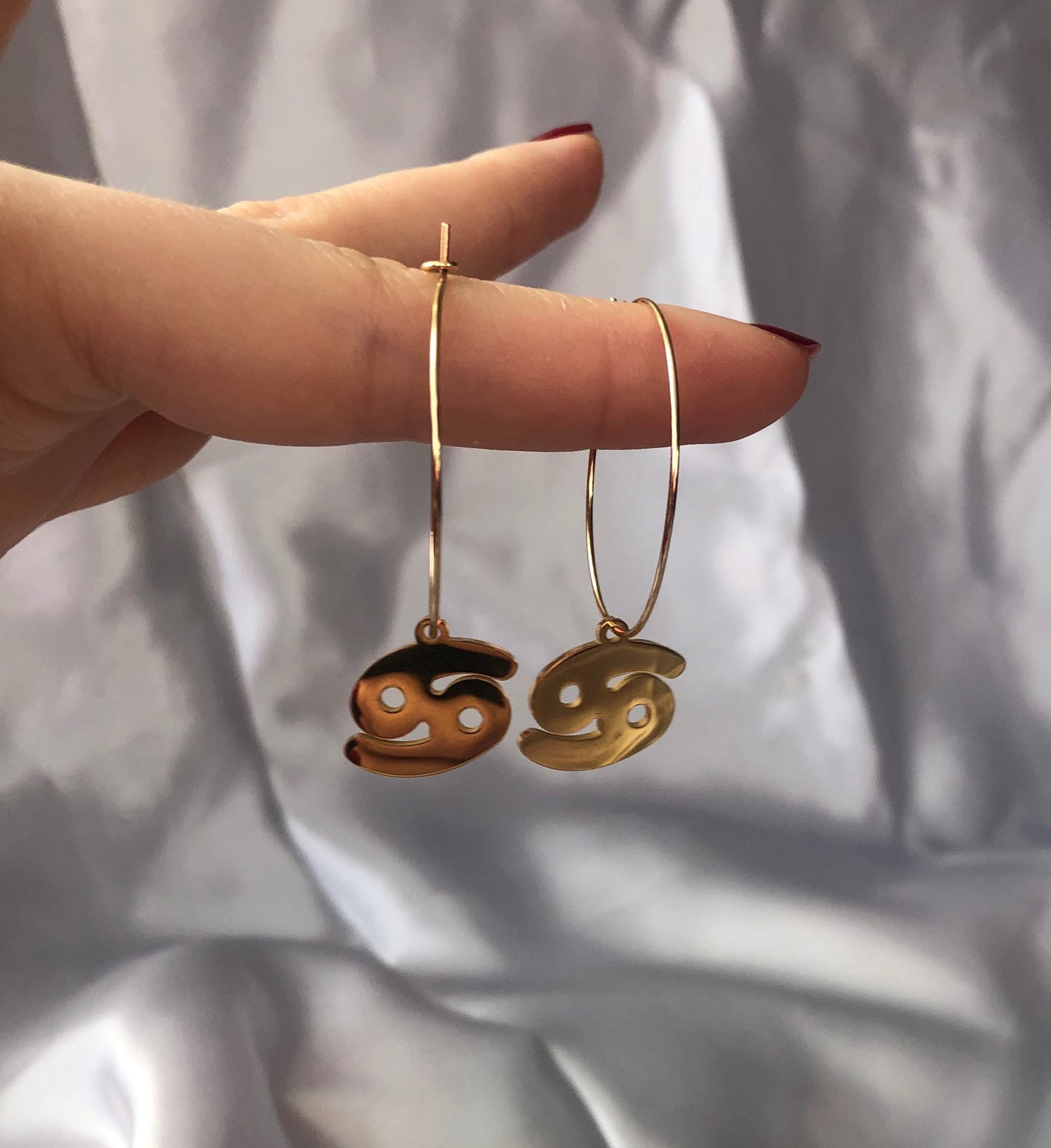 Zodiac sign pendant hoops