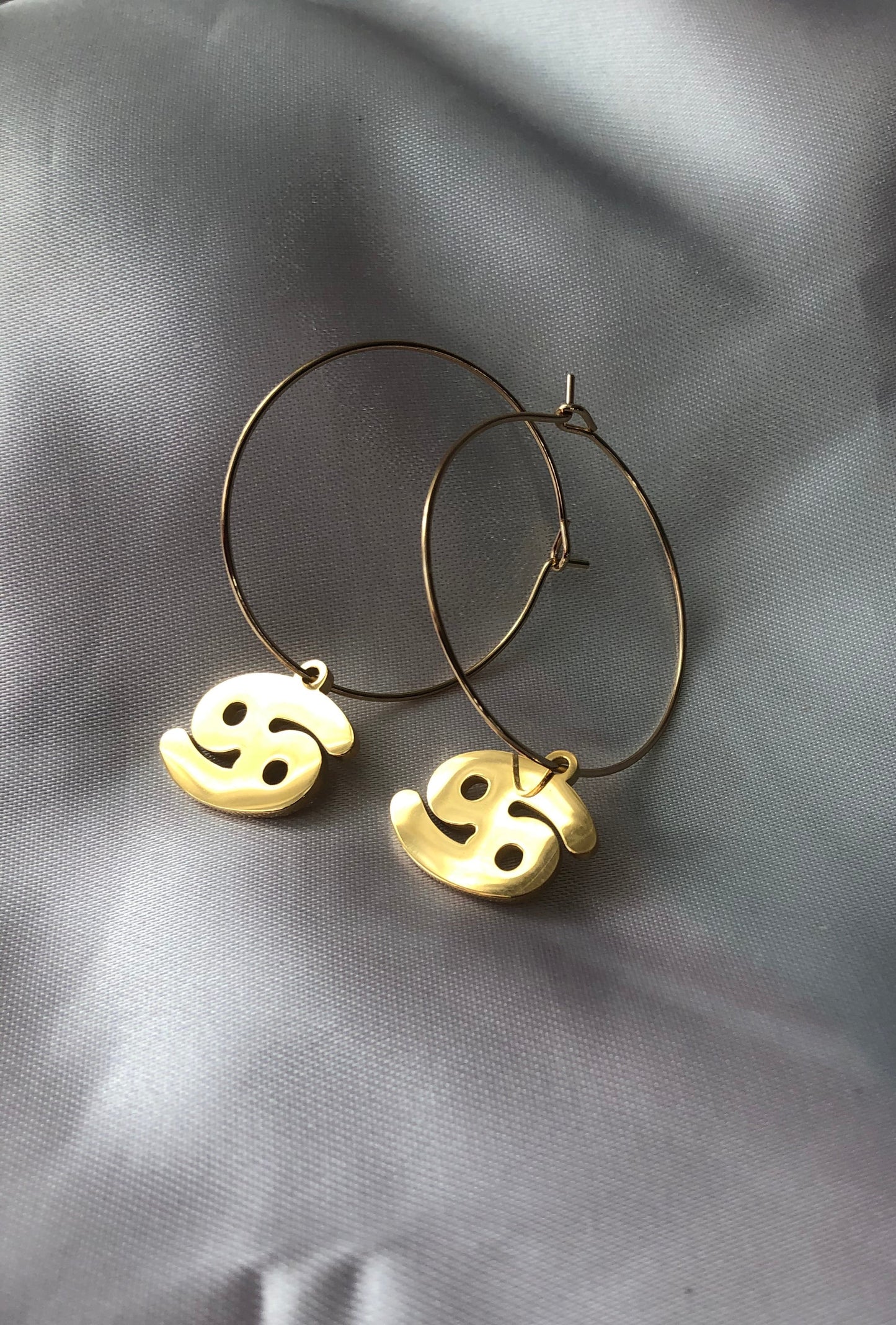 Zodiac sign pendant hoops