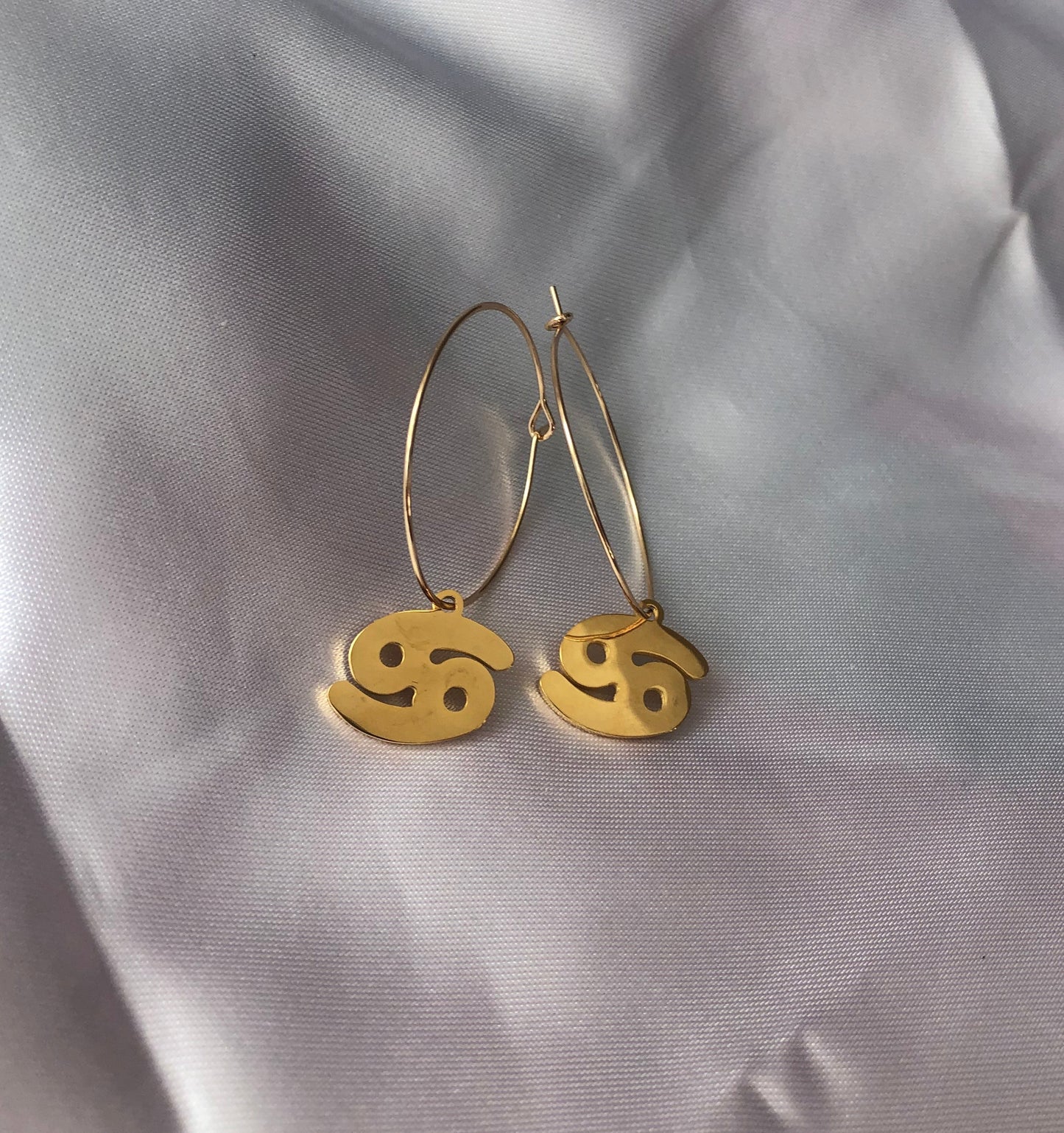 Zodiac sign pendant hoops
