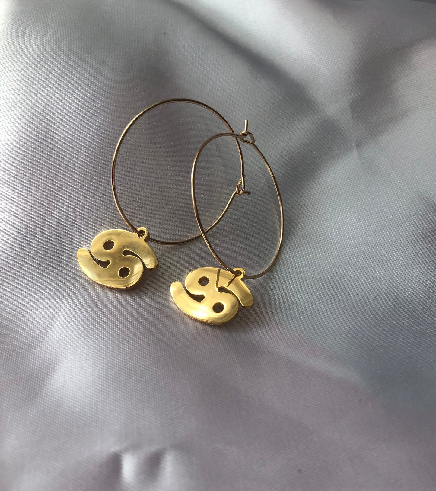Zodiac sign pendant hoops