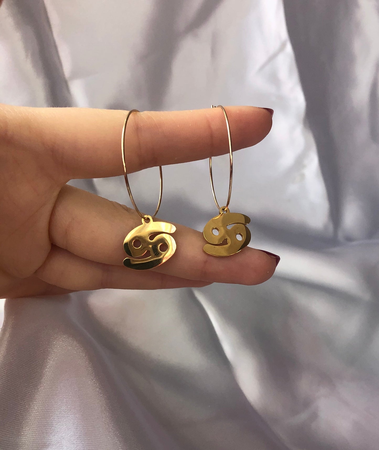 Zodiac sign pendant hoops