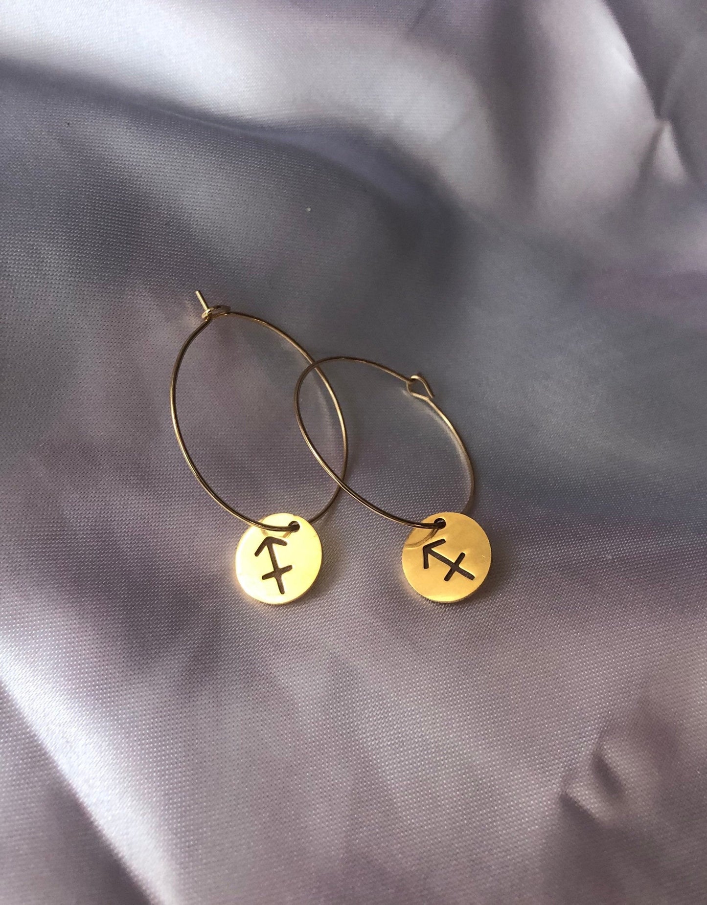 Circle zodiac sign pendant hoops