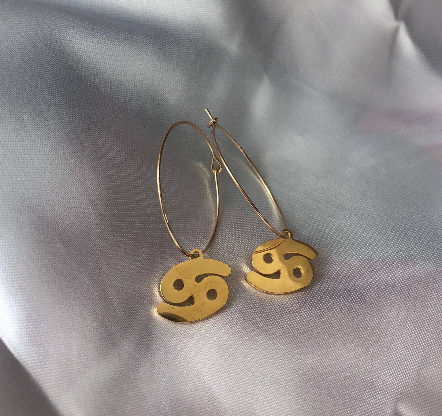 Zodiac sign pendant hoops